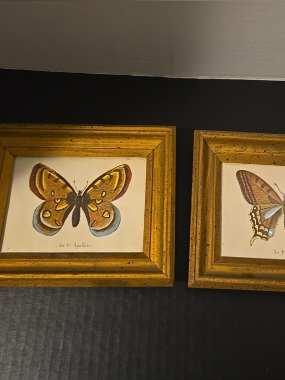 2 Vin. Framed Butterfly Prints. Gold  Wood Frames MCM Cottagecore